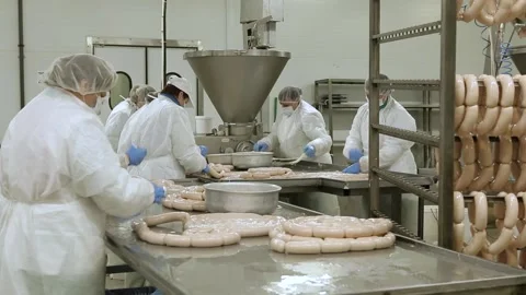Meat processing plant Stock Footage 233969628