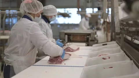 Meat processing plant Stock Footage 233969826
