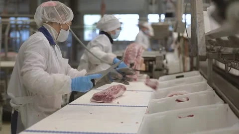 Meat processing plant Stock Footage 236722879