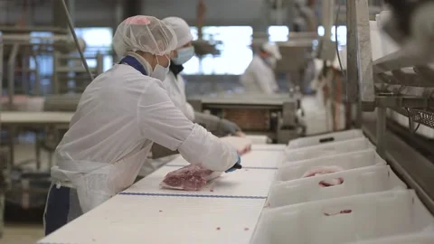 Meat processing plant Stock Footage 236722880