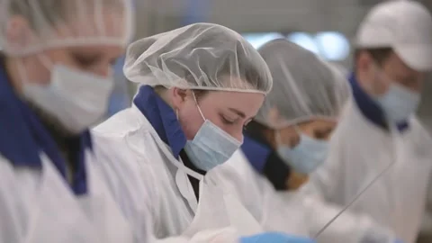 Meat processing plant Stock Footage 236722894