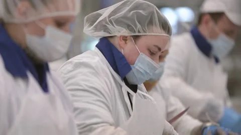 Meat processing plant Stock Footage 236722897