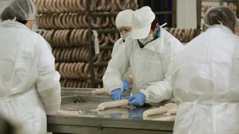 Meat processing plant Stock Footage 236722988