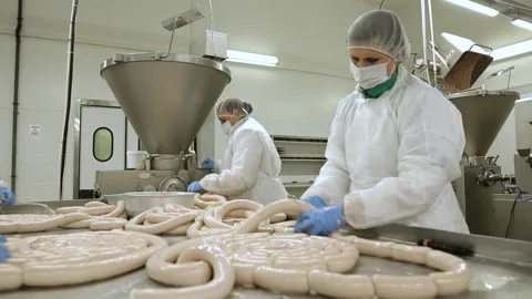 Meat processing plant Stock Footage 236722990