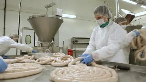 Meat processing plant Stock Footage 237021941