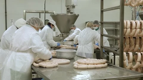Meat processing plant Stock Footage 237021944