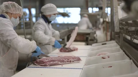 Meat processing plant Stock Footage 237021976