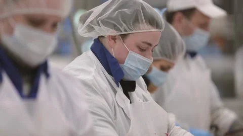 Meat processing plant Stock Footage 237021999