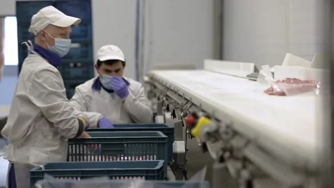 Meat processing plant Stock Footage 237022066