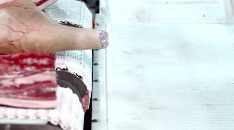 Meat Processing Plant meat on the conveyor Stock Footage 46374486