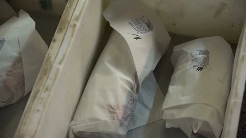 Meat processing plant, packaging line Video stock 89527650