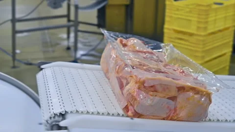Meat processing plant. Ready chicken meat packaged in vacuum bag  Stock Footage 158026926