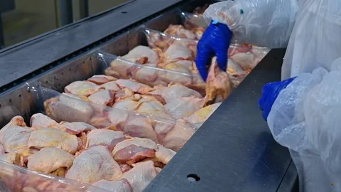 Meat processing plant. Ready chicken meat packaged  Stock Footage 158318877