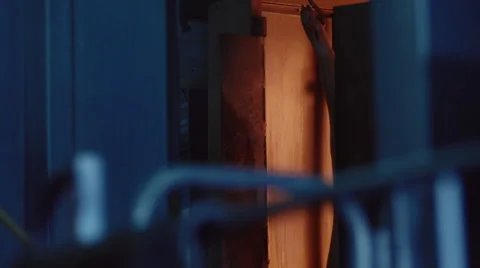 Meat Processing Plant roasting pig carcasses Stock Footage 46375326