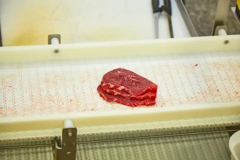 Meat processing plant. Slices of cut beef on the conveyor. Stock Photos