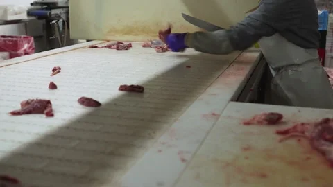 Meat processing plant. worker uses equipment for slicing meat Stock Footage 234217073