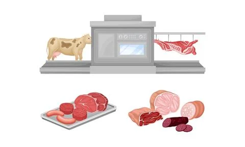 Meat production process. Slaughter procedure. Meat products processing vector Stock Illustration