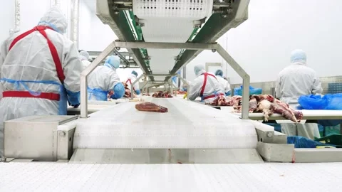 Meat production. Shop for processing, cutting, deboning beef meat Stock Footage 138371539