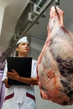 Meat quality control in butchery. Stock Photos