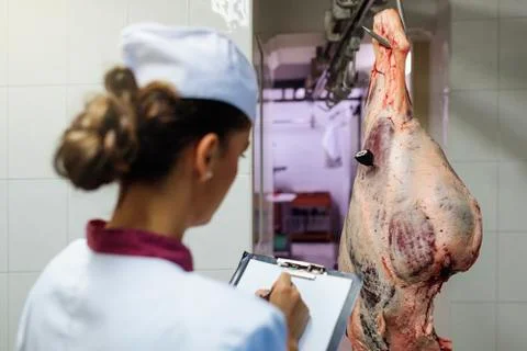 Meat quality control in butchery. Stock Photos
