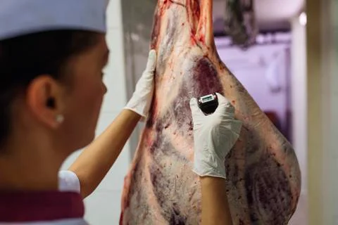 Meat quality control in butchery. Stock Photos