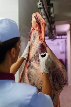 Meat quality control in butchery. Stock Photos