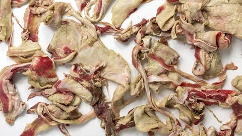 Meat remnants on white background Stock Footage 92997704