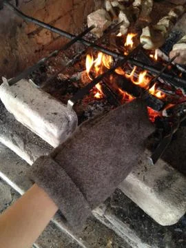 Meat roasted on the coals Stock Photos