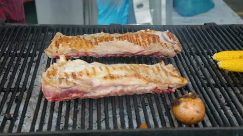 Meat roasting on grill Stock Footage 96641392