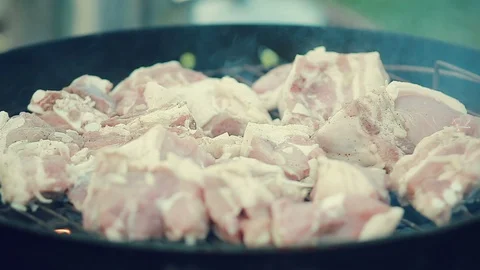 Meat on a round grill, pork, veal, lamb, barbecue in the country Stock Footage 94713402