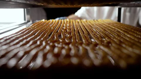 Meat sausage. The production process of thin sausages. Sausage production. Stock Photos