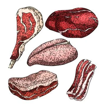 Meat set sketch hand drawn vector Stock Illustration