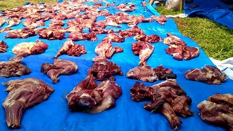 Meat of sheep prepared for distrobution in eid al-adha festival, Islamic holiday Stock Footage 94134376
