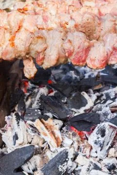 Meat skewer Stock Photos