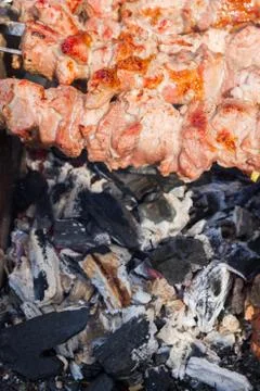 Meat skewer Stock Photos