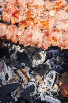 Meat skewer Stock Photos