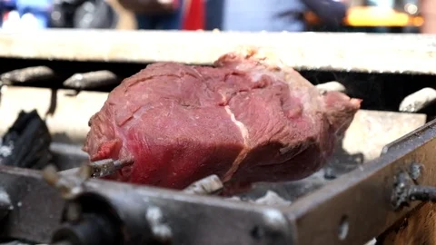 Meat On Skewer Roasting On The Fire Stock Footage 81597508