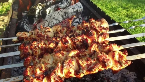 Meat on skewers and firewood in brazier outdoors Stock Footage