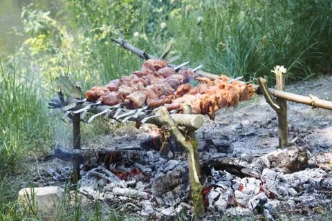 Meat on skewers on fire cooked in nature. Stock Photos