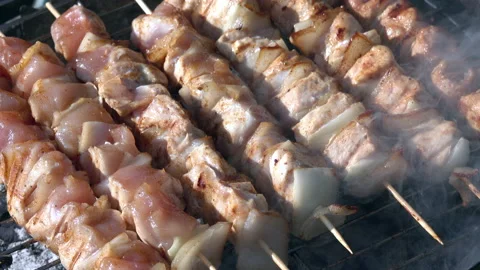 Meat skewers on a grill Stock Footage 154603443