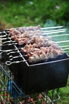 Meat slices Stock Photos