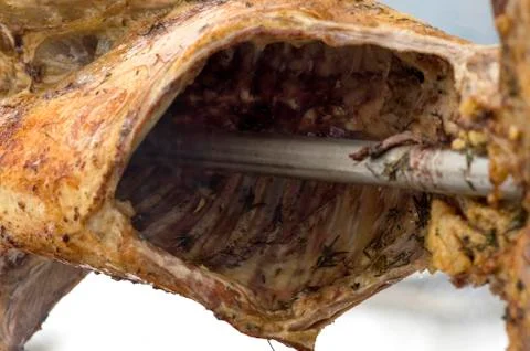 Meat on a spit close-up Stock-Fotos