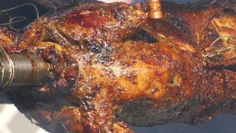Meat On The Spit Stock-Fotos