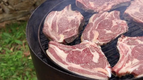 Meat steak bbq Stock Footage 83686393