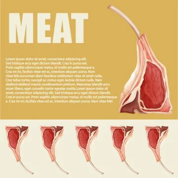 Meat theme with lamb chop and text Stock-Illustration