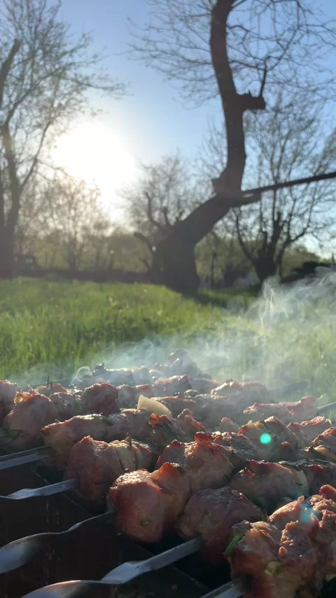 Meat1 Stock Footage 166057995