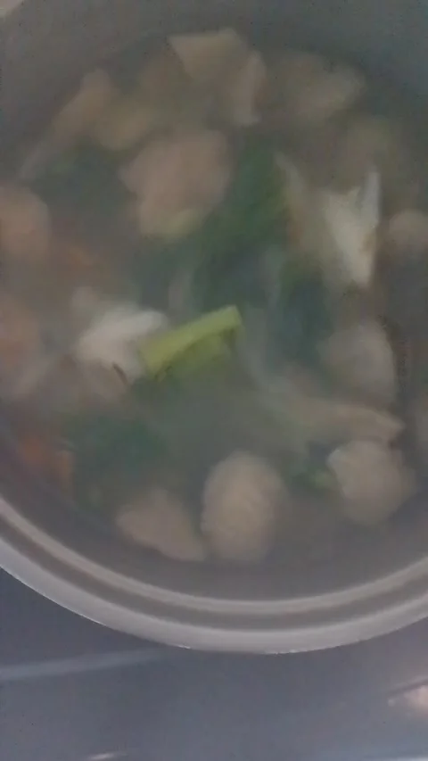Meatball soup Stock Footage 219472522