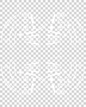 Mec Skull Pattern D White Stock Illustration