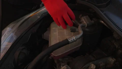 Mechanic checking car engine coolant level Stock Footage 344229628