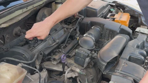 Mechanic checking the car engine oil level Stock Footage 338408992